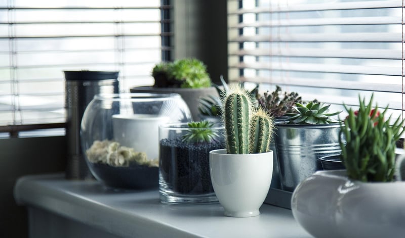 Stacked Planters